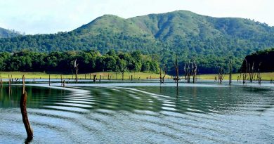 kerala backwaters and beaches