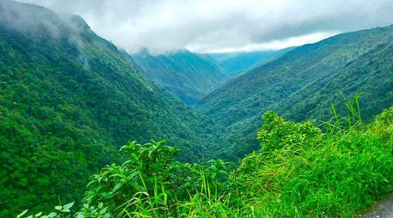 Green Valley