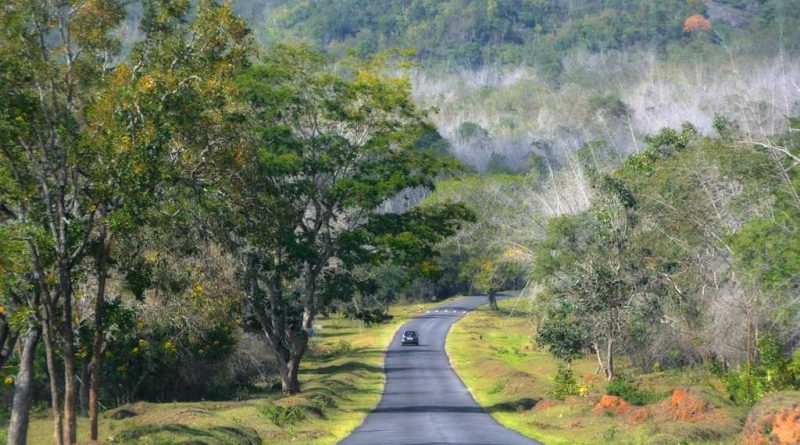Bandipur National Park