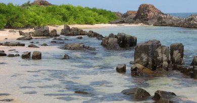 St. Mary’s Island