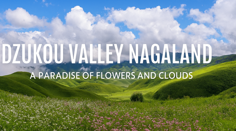 Dzukou Valley Nagaland